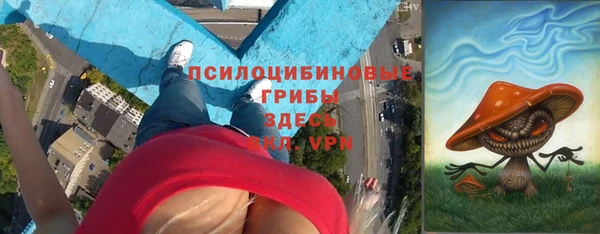 МДПВ Богданович
